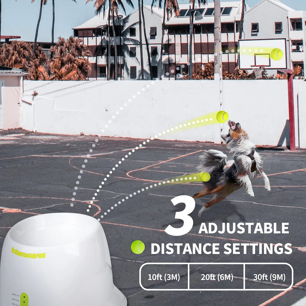 Automatic Ball Launcher for Small Dogs, 3 Balls Included A24957