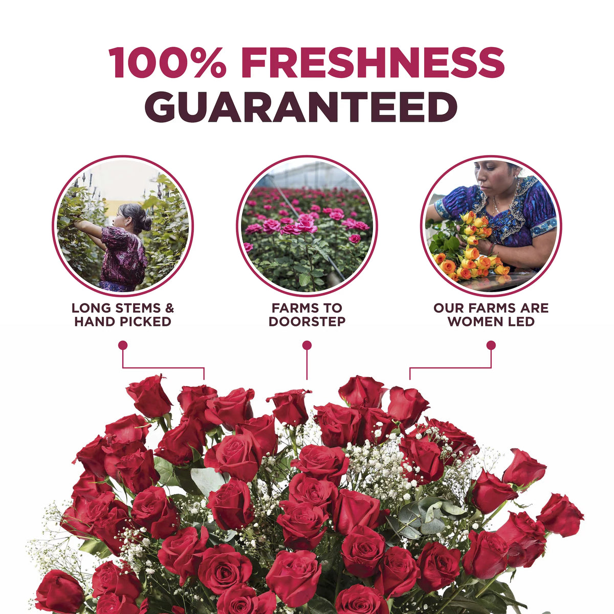4 Dozen Assorted Fresh Cut Long Stem Roses Bouquet H7346