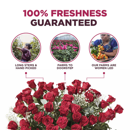 4 Dozen Assorted Fresh Cut Long Stem Roses Bouquet H7346