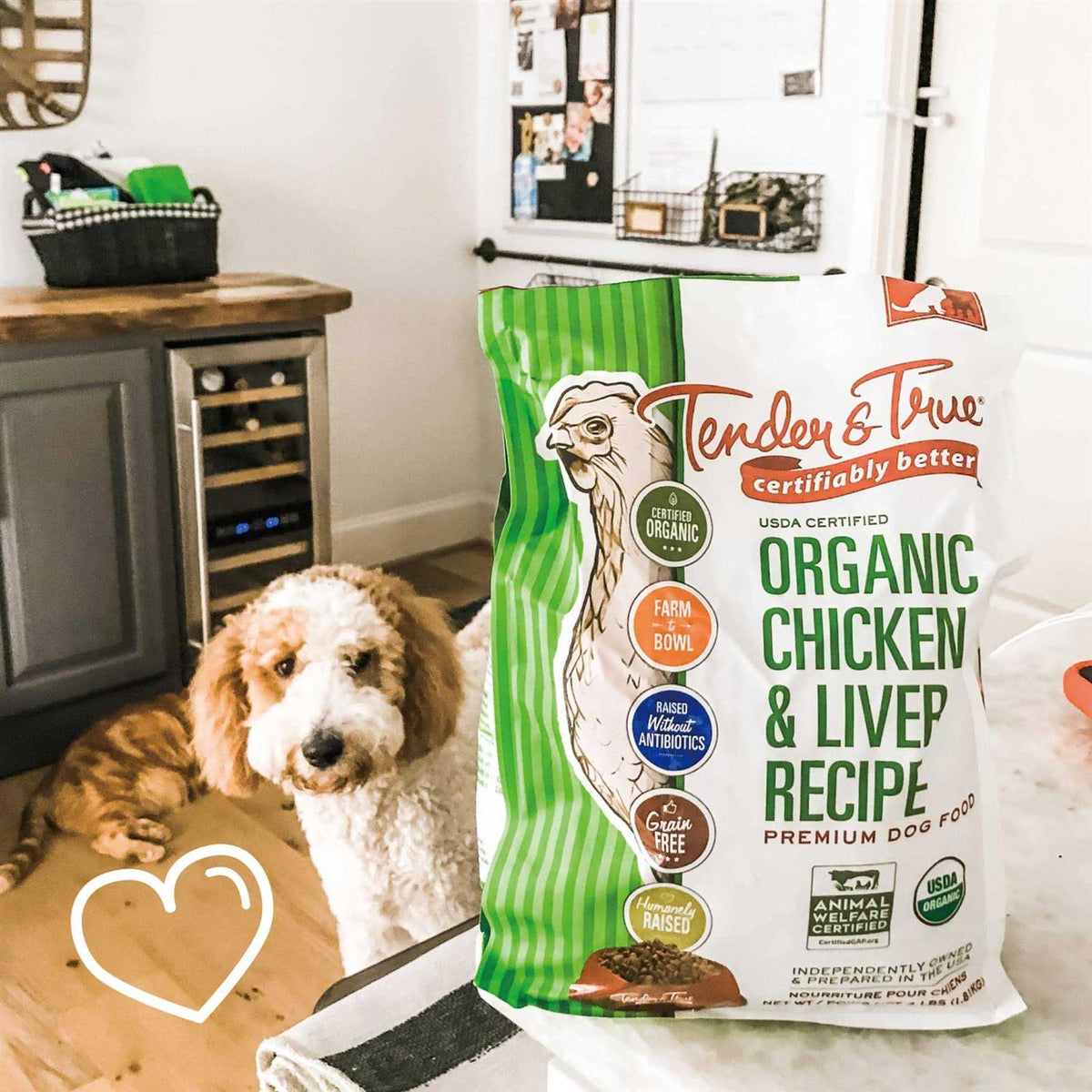 Organic Chicken & Liver Recipe Dry Dog Food R31035