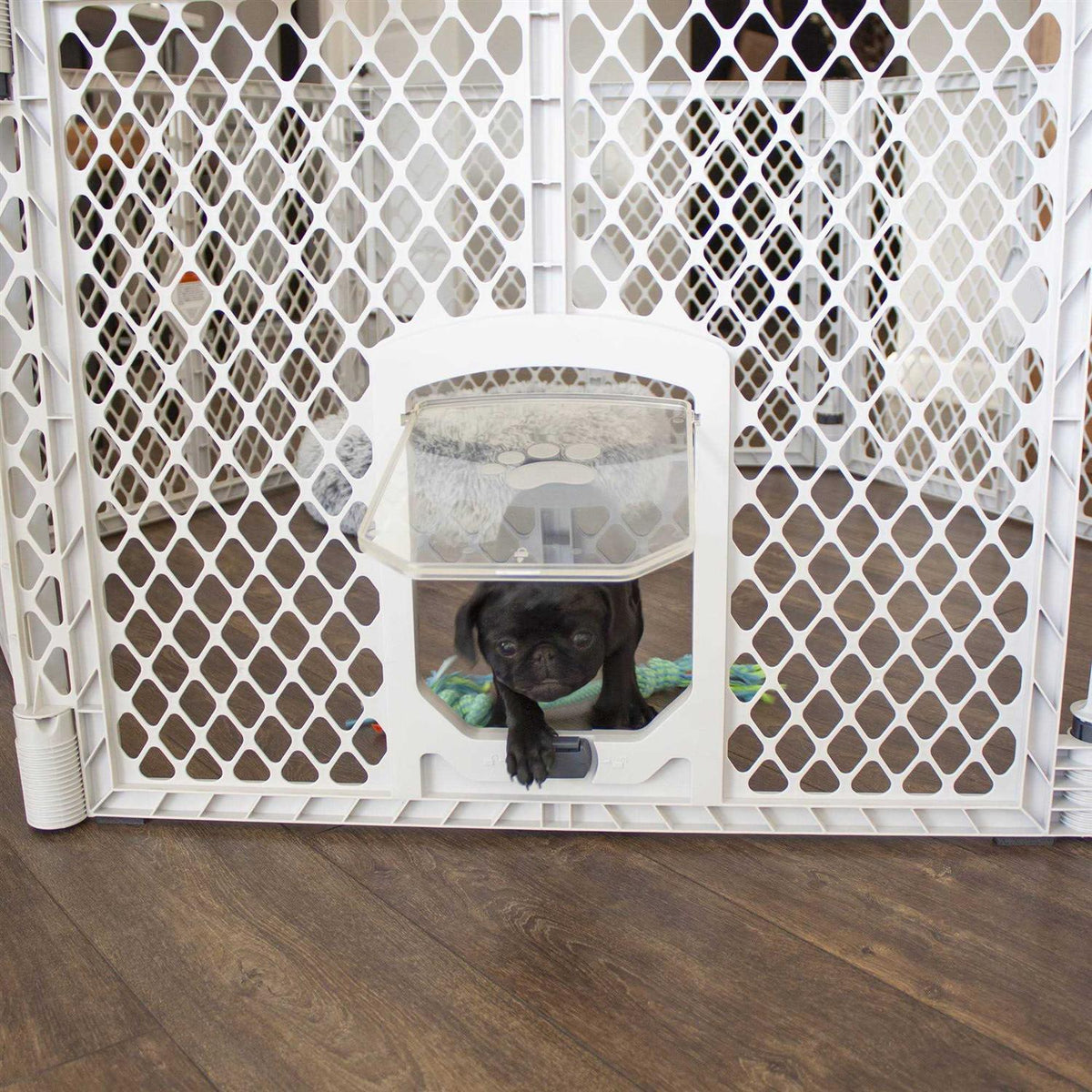 Pet Supplies U22974