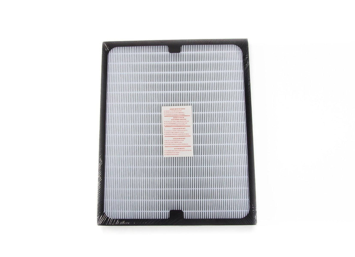 10 Pack Replacement HEPA Filters for Air Purifier V6956