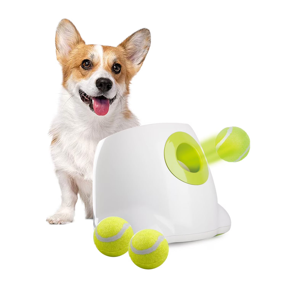 Automatic Ball Launcher for Small Dogs, 3 Balls Included A24957