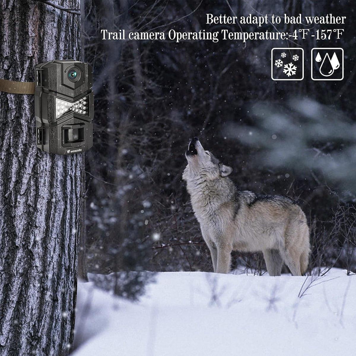 16MP 1080P 2 Pack Trail Camera with Night Vision X2268