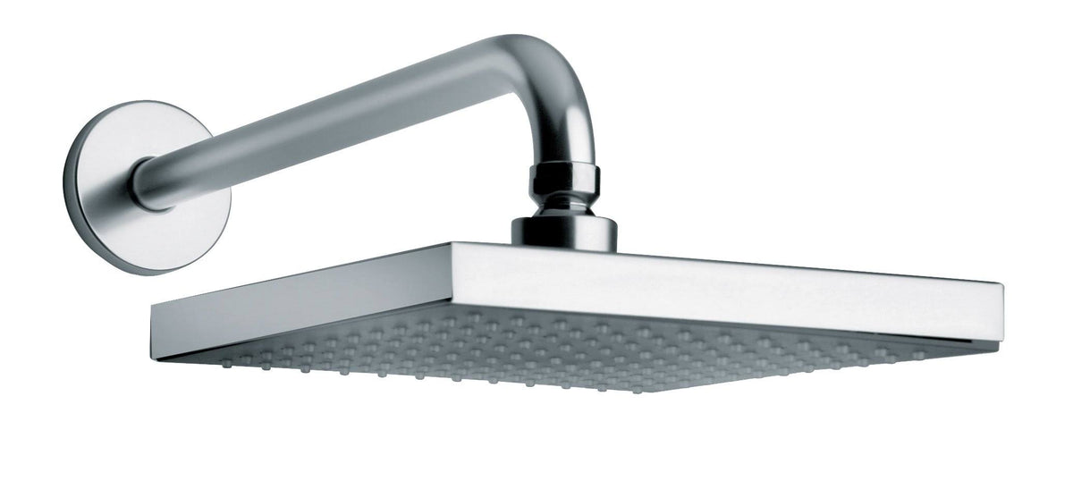 Shower Head and Arm N7860