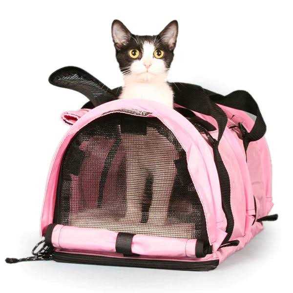Divided Pet Carrier Y55805
