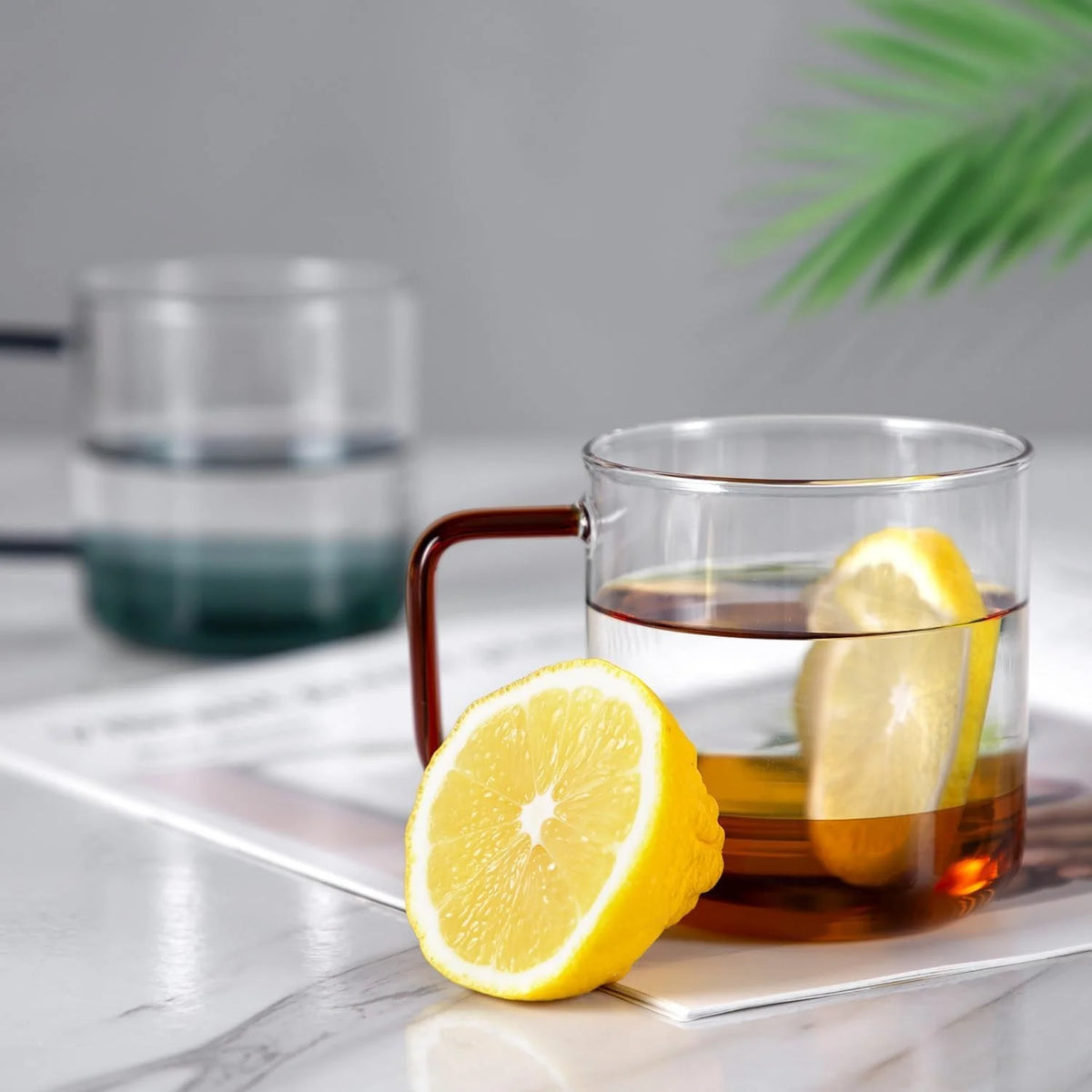 Clear 12oz Borosilicate Glass Espresso Cups Set of 2 Y729