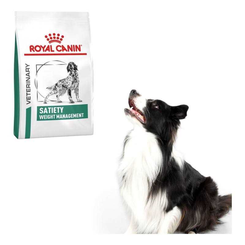 Veterinary Diet Satiety Support Dry Dog Food K7788