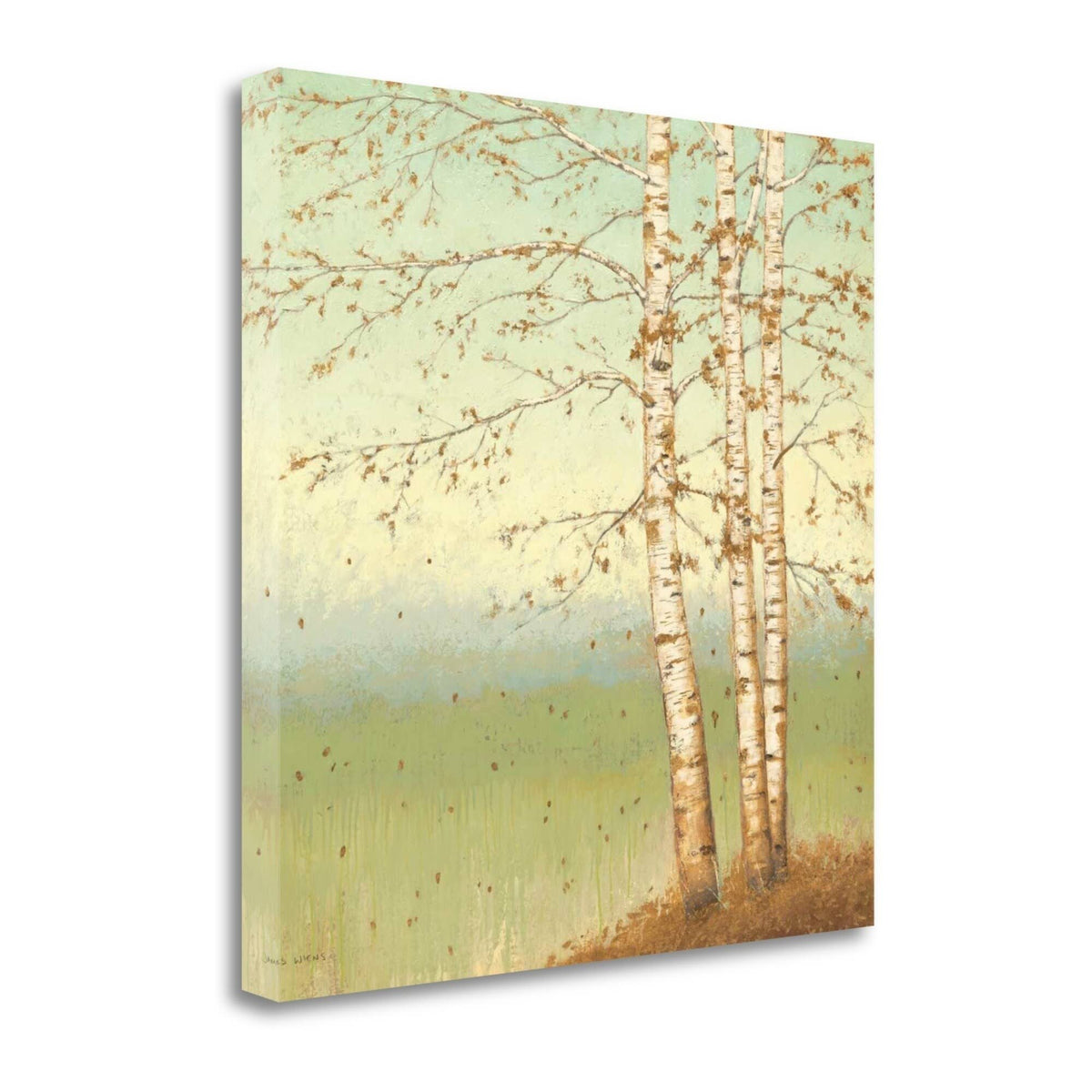 Golden Birch II with Blue Sky Giclee on Gallery Wrap Canvas H265