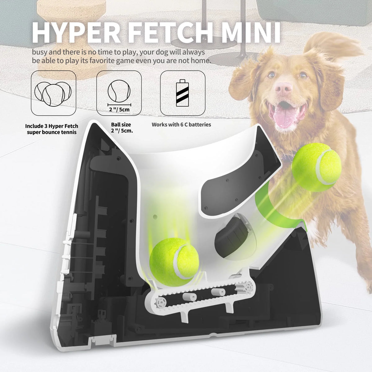 Automatic Ball Launcher for Small Dogs, 3 Balls Included A24957