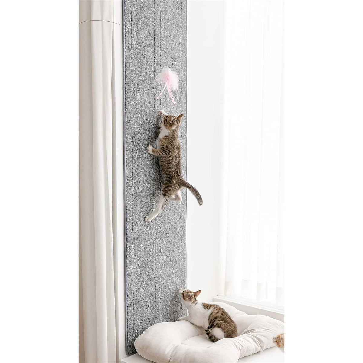 78.7” Tall Cat Scratcher Wall Corner Attachable W1709