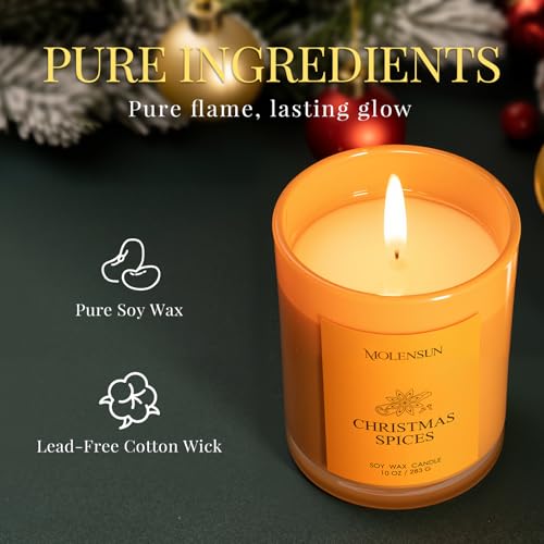 3 Pack 30oz Soy Scented Candles V746820