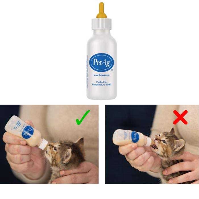 Pet Nurser Bottle S343016
