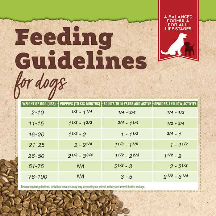 Organic Chicken & Liver Recipe Dry Dog Food R31035