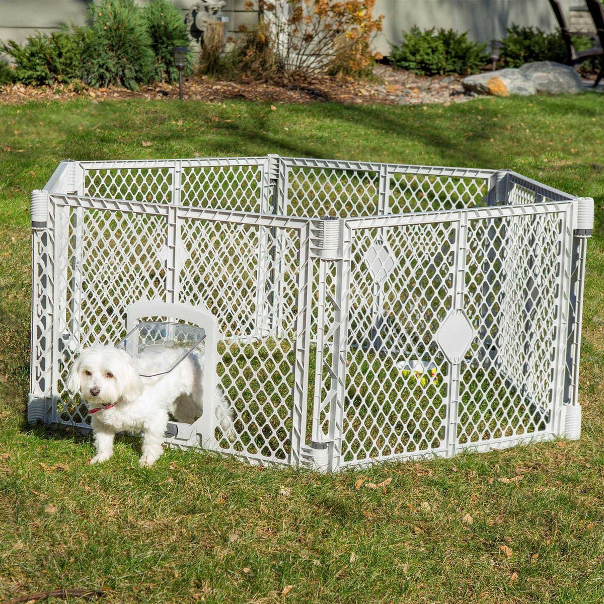 Pet Supplies U22974