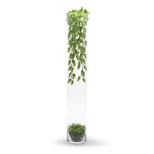 Thick Weighted Tall Clear Cylinder Glass Vase, 4" W x 20" H, 1 Piece W3940