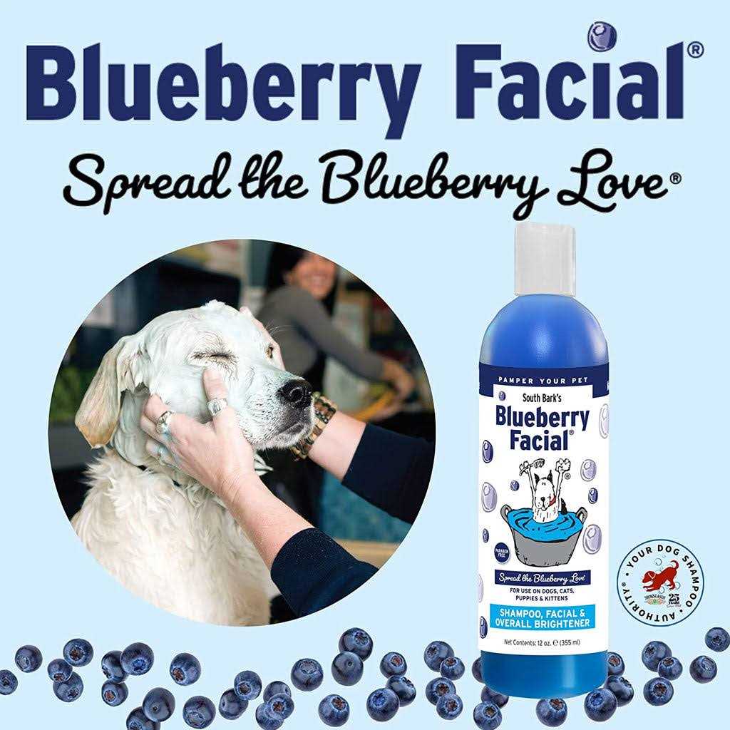 Blueberry Facial P1328