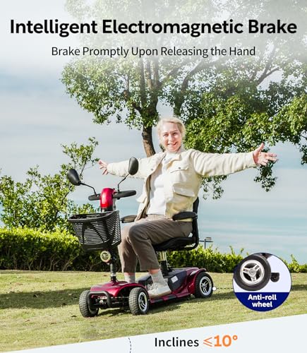All Terrain 4 Wheel Electric Scooter with Seat Q722830