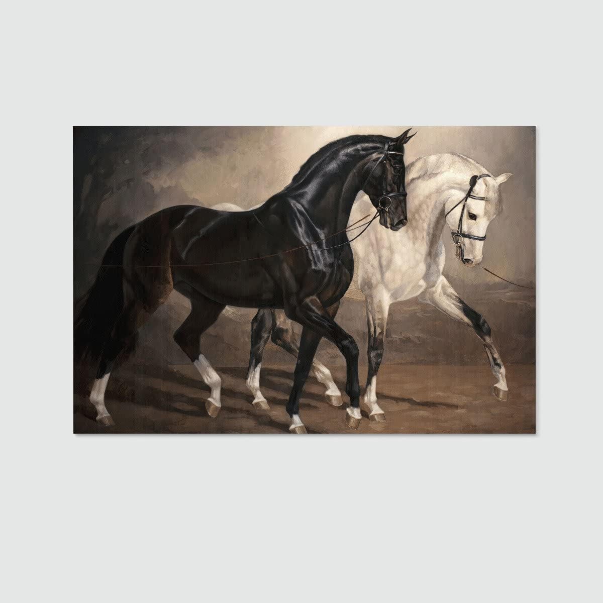 Black and White Stallions Canvas Poster Wall Art 16x24inch V370221
