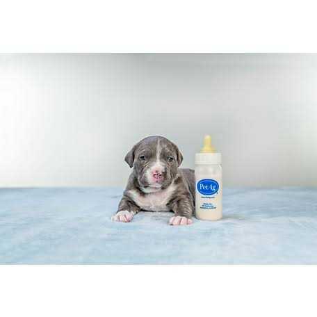Pet Nurser Bottle S343016