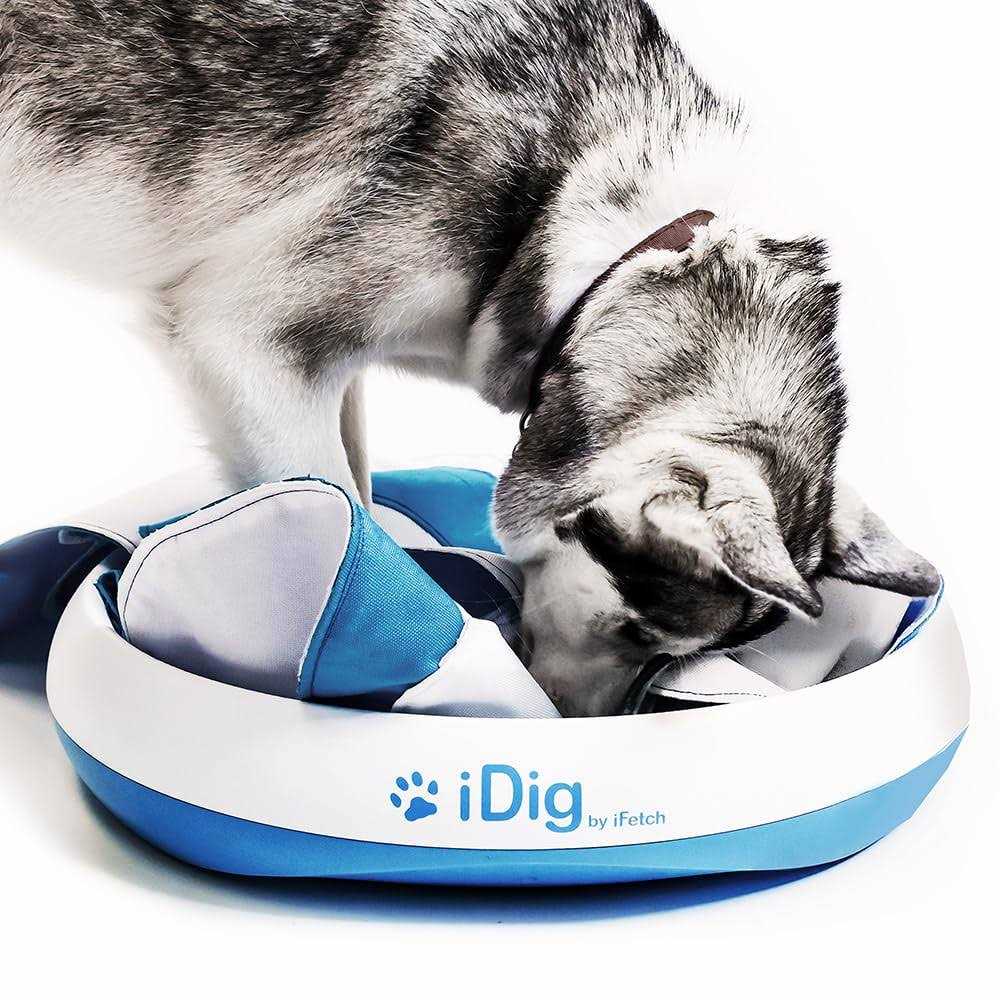 iDig Stay Digging Toy for Dogs W55668