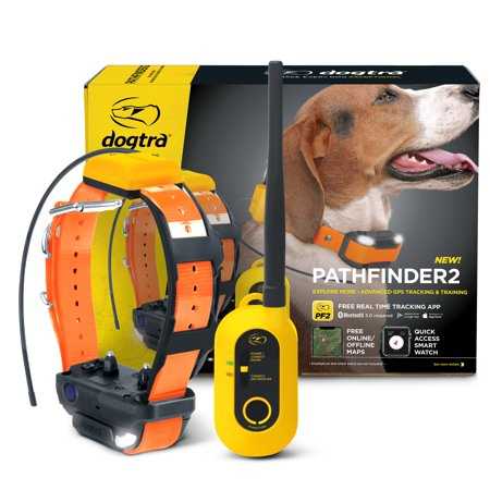 Black GPS Dog Training Collar System S732426