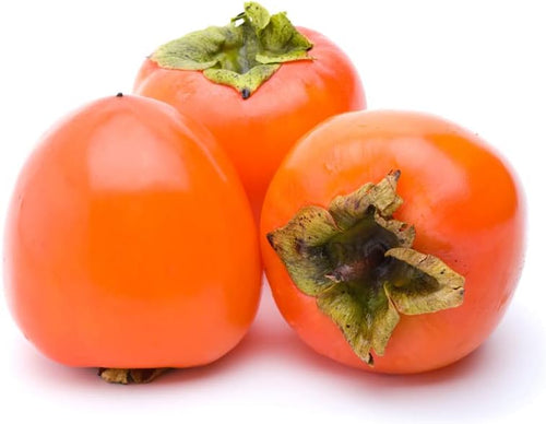 30+ Non GMO Heirloom Persimmon Fruit Tree Seeds Q6150
