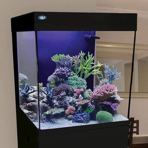 15 Gallon White Aquarium U17736