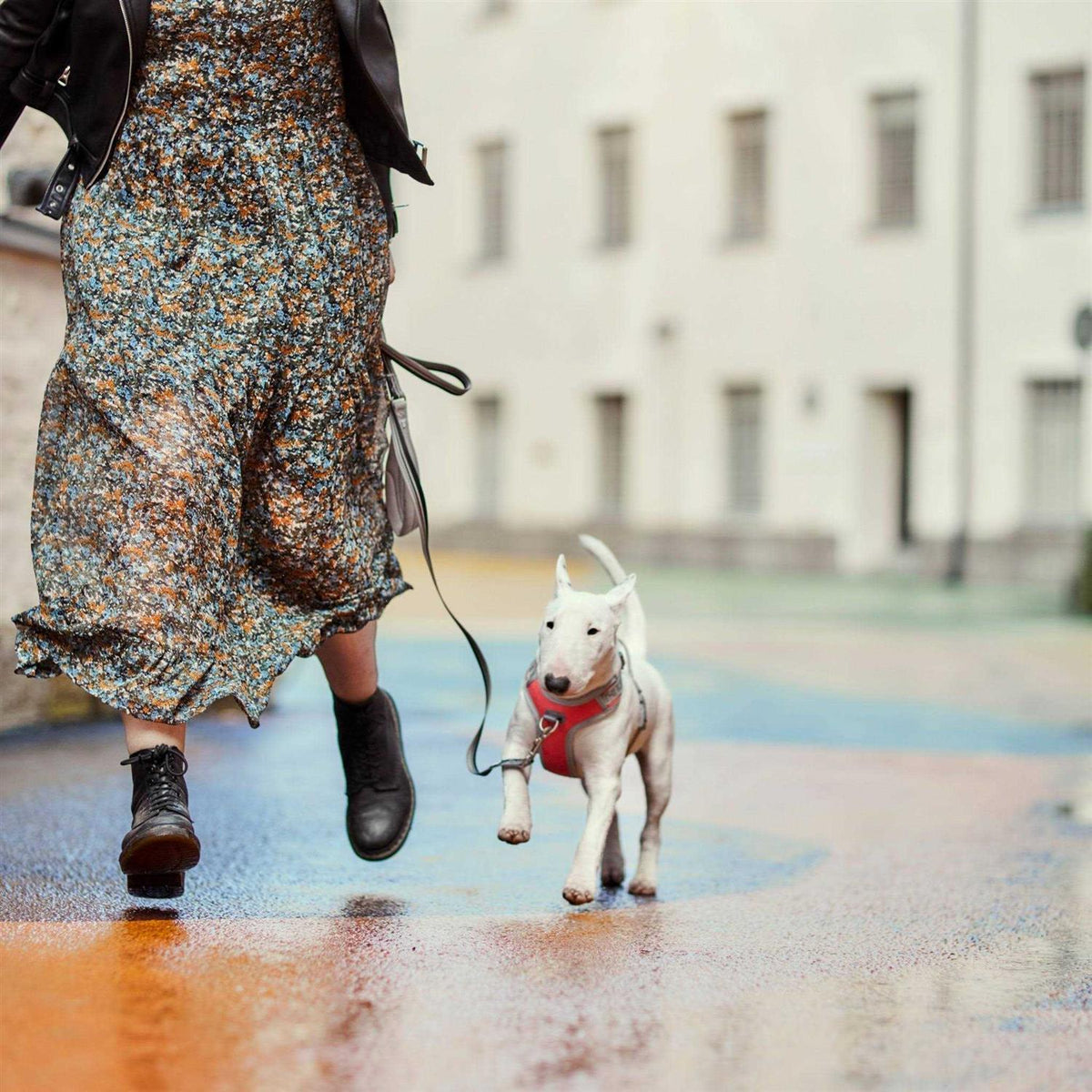 No-Pull Dog Harness R39841