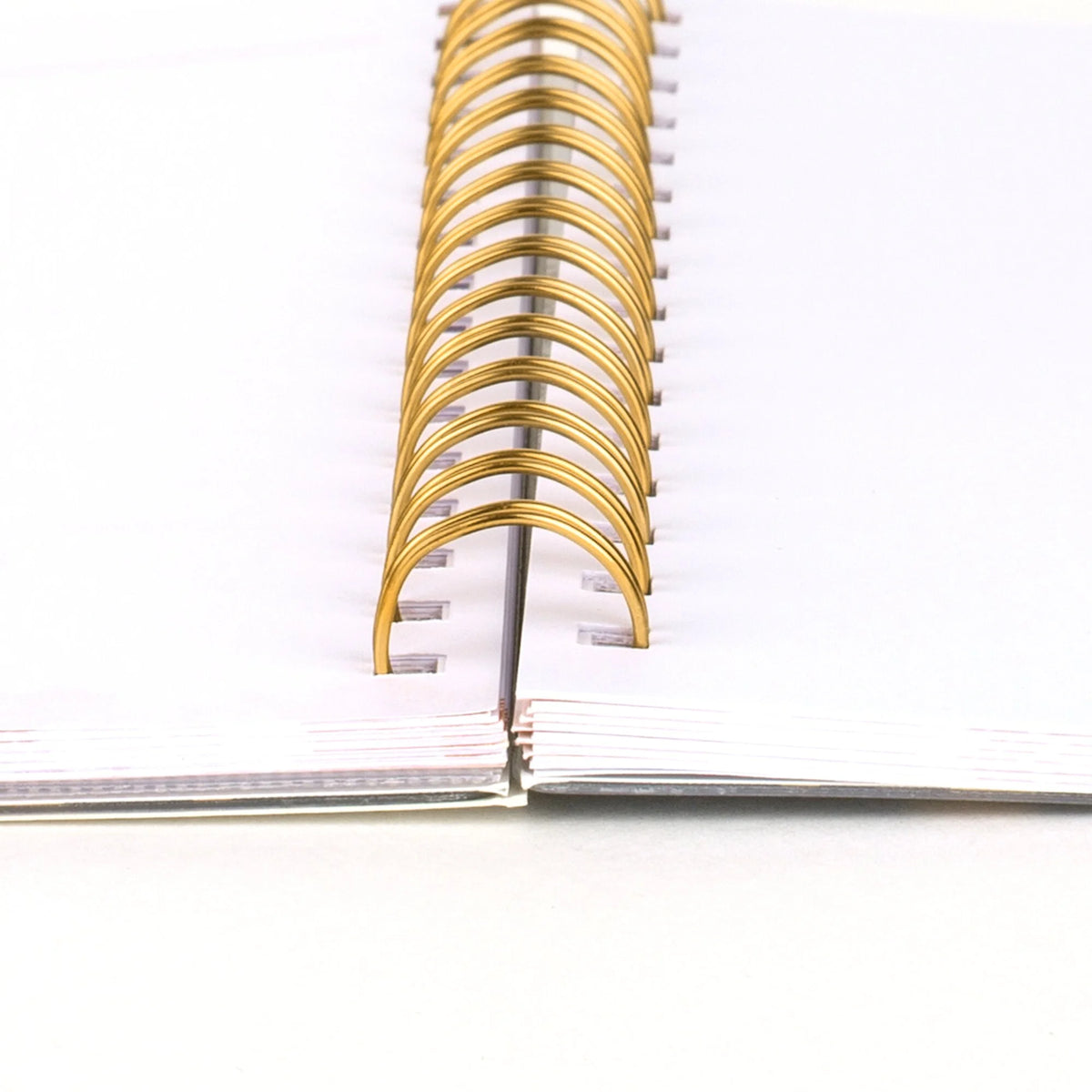 Weekly Monthly Planner S5657