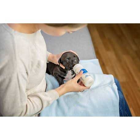 Pet Nurser Bottle S343016