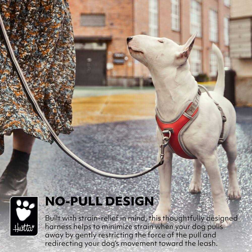 No-Pull Dog Harness R39841