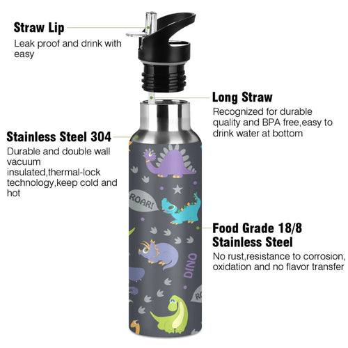 20 OZ Stainless Steel Vacuum Insulated Water Bottle with Straw Lid V389